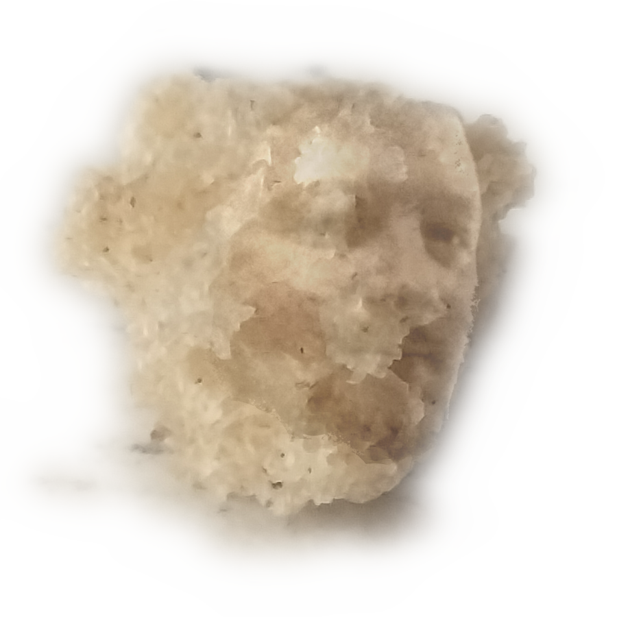 Fluffy Crumb's